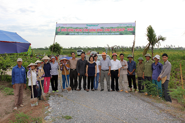 Hinh 2 f8f6c Những người nông dân trồng đinh lăng tỉ phú ở Nam Định